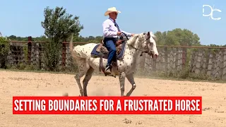 D/C  SETTING BOUNDARIES FOR A FRUSTRATED HORSE