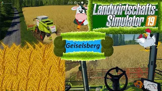 [LS19/FS19] - Timelapse | Geiselsberg #4 | Die Getreideernte!🚜👨‍🌾🌾 | ZutuzYT