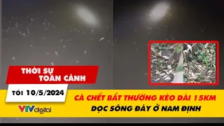 Thời sự toàn cảnh tối 10/5: Cá chết bất thường kéo dài 15km dọc sông Đáy ở Nam Định | VTV24