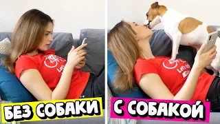 ЖИЗНЬ С СОБАКОЙ vs ЖИЗНЬ БЕЗ СОБАКИ | СКЕТЧ | Darina Sweet