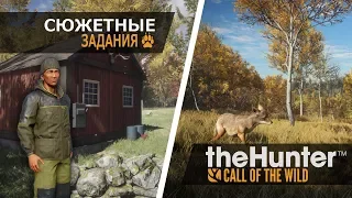 theHunter: Call of the Wild │ Ночная охота на кайота