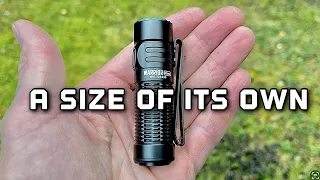 Warrior Nano is a pretty cool size flashlight from Olight for EDC