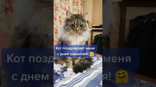 Кот поздравляет тебя с днём рождения!!!