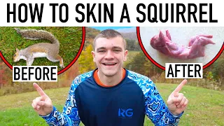 How to Skin a Squirrel (In Depth Guide) - Kendall Gray