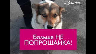 Больше НЕ ПОПРОШАЙКА | Бездомная Злата унижалась перед людьми за кусок булки