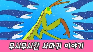 한국어ㅣ무시무시한 사마귀 이야기! 동물 이름 배우기, 동물만화 영화, 동물이야기ㅣ꼬꼬스토이