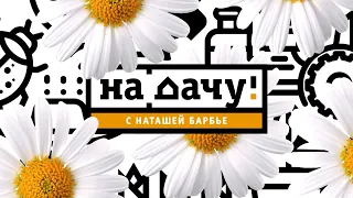 Теплицы Люкс в программе НА ДАЧУ С НАТАШЕЙ БАРБЬЕ