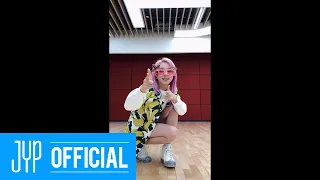 트와이스 채영 "알코올 프리" 댄스 영상