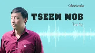 TSEEM MOB - Tsua Vaj  (Official Audio )