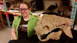 Chasing Dinosaurs in British Columbia with Dr. Victoria Arbour