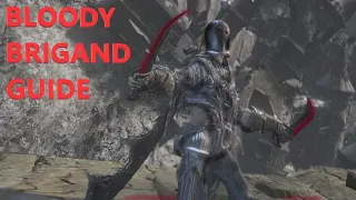 Dark Souls 3 - Bloody Brigand Build Guide (Brigand Twindaggers)