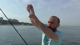 Морская рыбалка на ставриду  Одесса 21 июня   2021