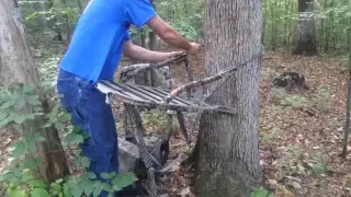 Summit Treestand in action  Quick and easy to use.