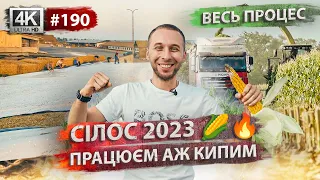 Силосовка 2023 в нон-стоп🔥🌽 Робота кипить: техніка, логістика, консервація