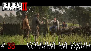 Сперли и Продали Лошадей... Конина на Ужин... (ПРОХОЖДЕНИЕ Red Dead Redemption 2 #36)