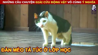 Giải Cứu Chú Chó Bị Khuyết Tật Bẩm Sinh Vô Cùng Đáng Thương || Review Con Người Và Cuộc Sống (P16)