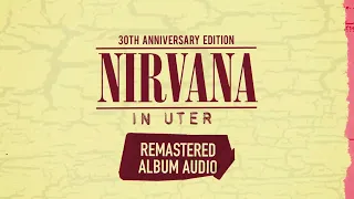 Nirvana | In Utero 30th Anniversary Edition