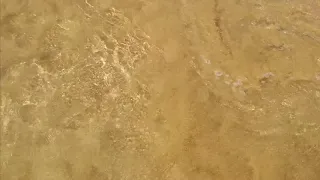 Close Up Video Of Beach Waves