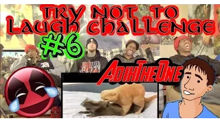 Try Not To Laugh Challenge Reaction #6 AdikTheOne