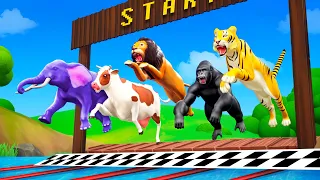Zoo Animals Swimming Race - Elephant, Lion, Cow, Gorilla, Tiger, Fox | Funny Animals 3D Cartoons
