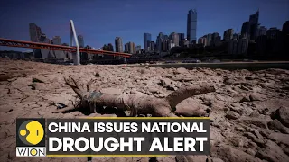 WION Climate Tracker | Reports: 66 rivers dries up in China; dry spell to last till September