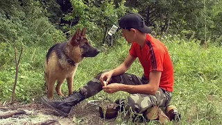 Ночь в ПАЛАТКЕ.Обед на КОСТРЕ.Пес на ЛОДКЕ.Рыбка в САДКЕ