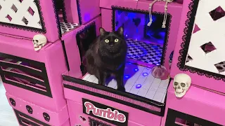 We Built Our Cats a Halloween Barbie Dream House!