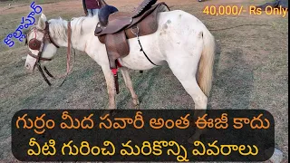 Horse Riding in Kollapur|Telugu|Kollapur|SSS Journey|tokala|