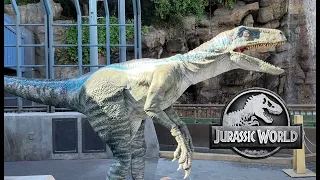 Raptor Encounter at Universal Studios Hollywood