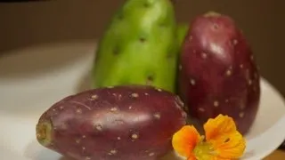 When Is It Ripe? Cactus Pears