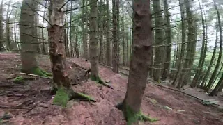 Tyn y coed Mtb trails