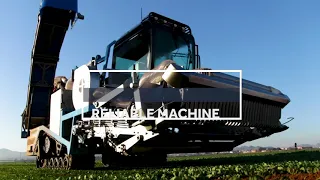 Harod Spinach and Baby Leaf Harvesters