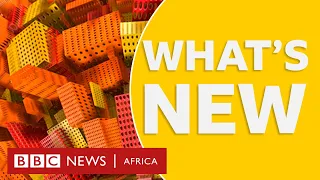 BBC Africa: Combating fake news and catfishing online plus other stories - BBC What's New