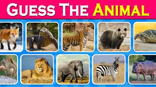 Guess 60 ANIMALS...! 🐶🐱 | Guess The Animal in 5 Seconds | Quiz Rainbow