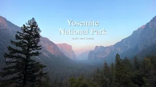 iPhone 11 Pro Cinematic 4K: Yosemite National Park