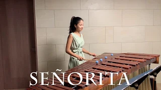 Señorita - Shawn Mendes, Camila Cabello / Marimba Cover