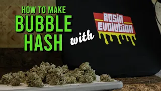 How to Make BUBBLE HASH. . .with Rosin Evolution!