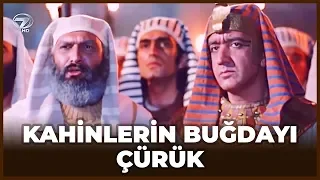 Tapınak Rahipleri REZİL Oluyor. Artık İtibarları Sıfır! - Hz Yusuf 31. Bölüm