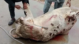 cow cutting in Pakistan l village beef cutting skills l cow skin cutting l cow knife cut l beef cuts