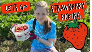 Let's Go Strawberry Picking