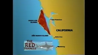 Sharks of the Red Triangle (1995)