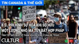 🔴 TIN CANADA & TG 01/06 |Các vụ bạo lực và sở hữu súng trái phép đang gia tăng ở thế hệ nhỏ tuổi hơn