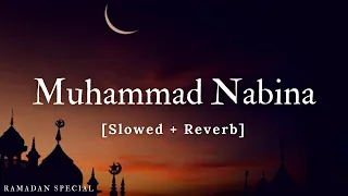 Muhammad Nabina [Ramadan Special] Hamada Helal | Music Material | Textaudio