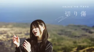 sajou no hana「切り傷」（Music Video）