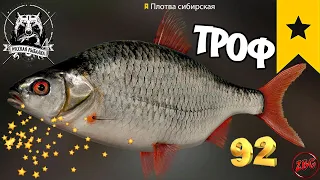 ПЛОТВА СИБИРСКАЯ  р. ТУНГУСКА ⭐ РУССКАЯ РЫБАЛКА 4 |  RUSSIAN FISHING 4🐟@Z-B-G