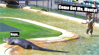 Monty only has eyes for Bindi | Irwin Family Croc Show | Australia Zoo