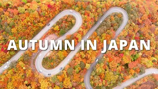 Autumn in Northern Japan - Cycling in Aomori & Iwate Travel Guide