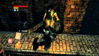 Dark Souls - Быстрый путь на верх крепости Сена 160109-6