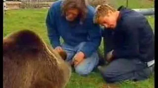 Brad pitt encounters and makes friends with a grizly bear