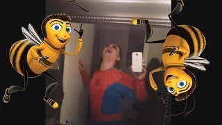 It is wednesday my dudes, But everything replaced with bee